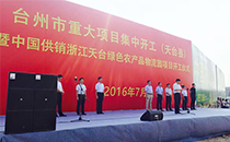 专业草莓视频成年人音响鼎力支持浙江重大项目开工仪式